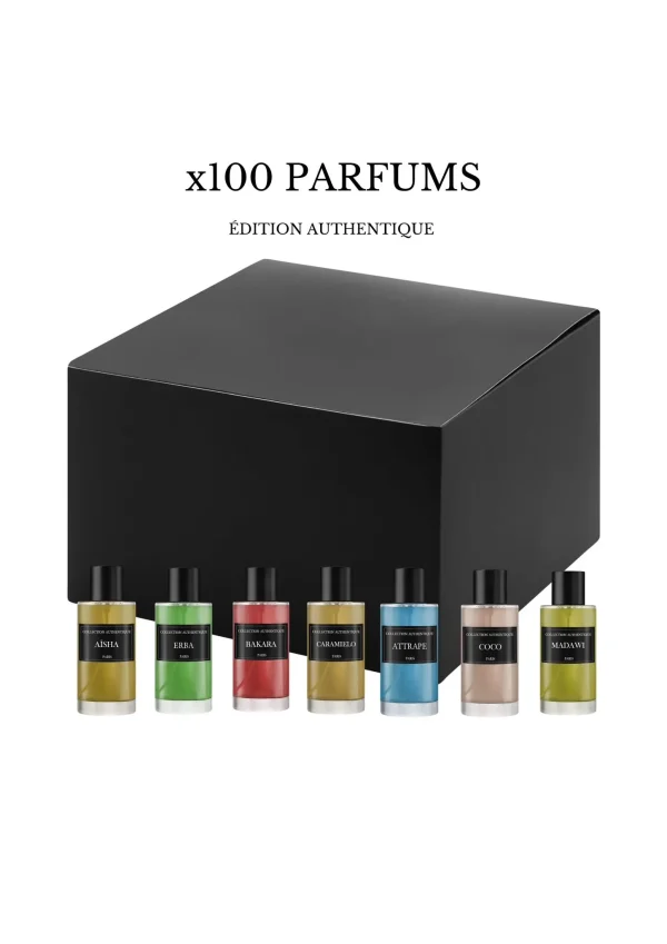 🛍️ Lot de 100 Parfums Collection Privée en Gros - Édition Authentique